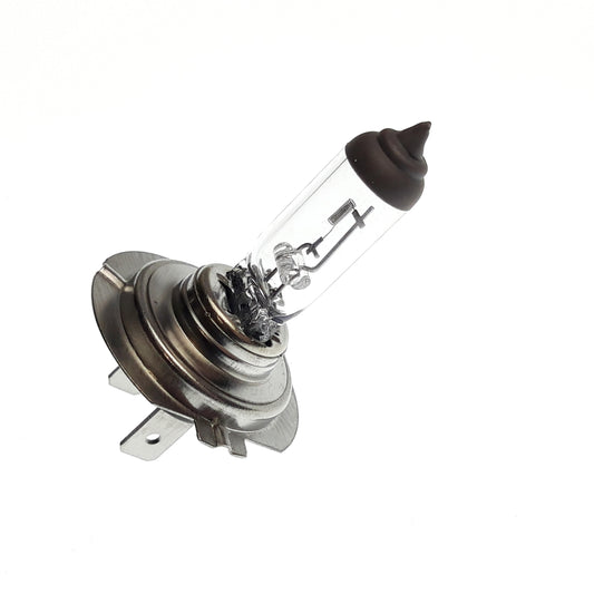 Bulb, Regular Triton Outback 300