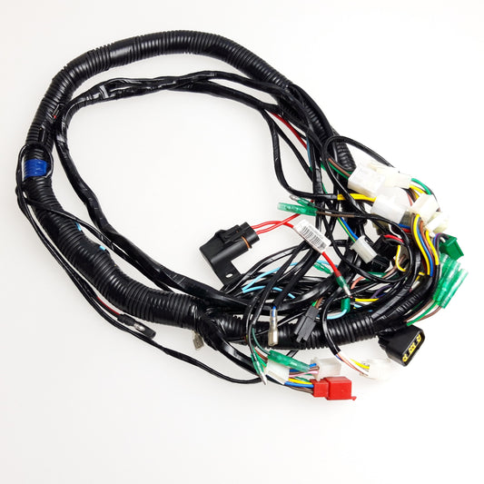 Main Wire Ass'y Triton Outback 300