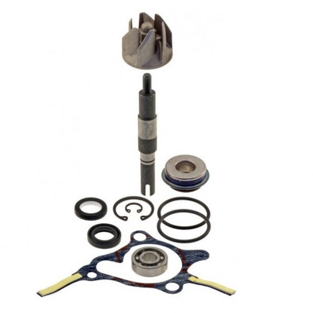 Water pump repair kit Honda Foresight 250