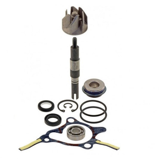 Water pump repair kit Honda Foresight 250
