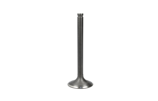 Intake valve 600 cc Honda XL600R 1985–1987