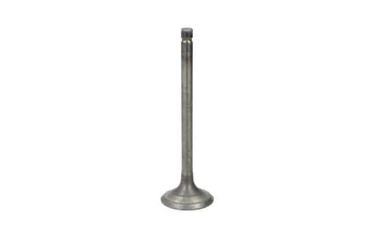 Exhaust valve 185,250 cc Yamaha TW200,XT225,XT250,YFM250X