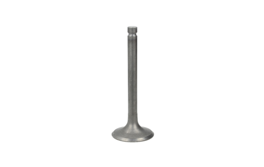 Intake valve 600 cc Yamaha XT600E,YFM600FWA,YFM600FWAH