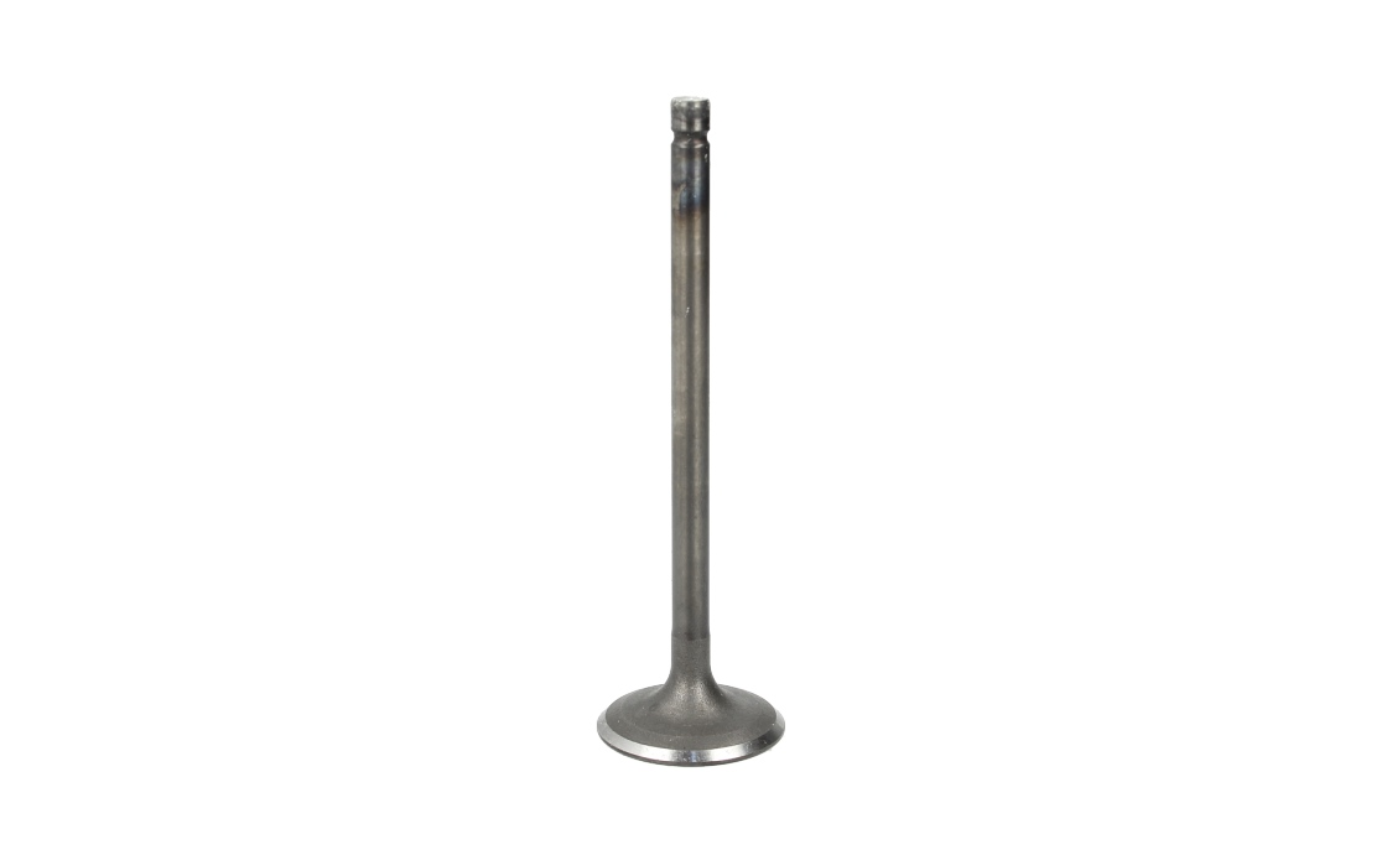 Intake valve 660 cc Yamaha Grizzly YFM660F,YFM66FG