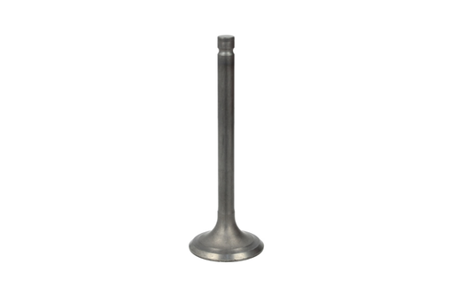 Exhaust valve 500 cc Suzuki GS500,GS500E,GS500F