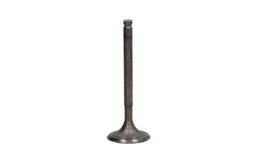 Exhaust valve 750,800 cc Suzuki DR750S,DR800