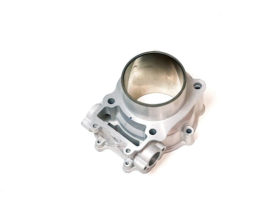 CYLINDER, 950, VTWIN-MACH (RB 0804-064) Arctic Cat TRV 1000, genuine