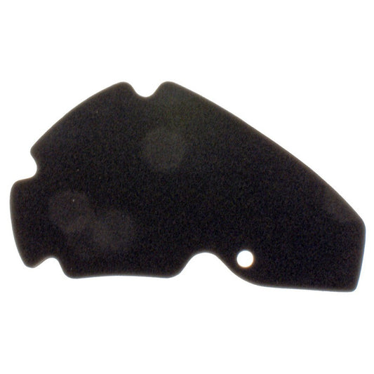 Air filter Aprilia Scarabeo 125,200 10 060 2470
