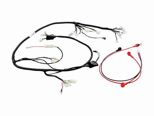 Wiring harness scooter 50 cc 2T