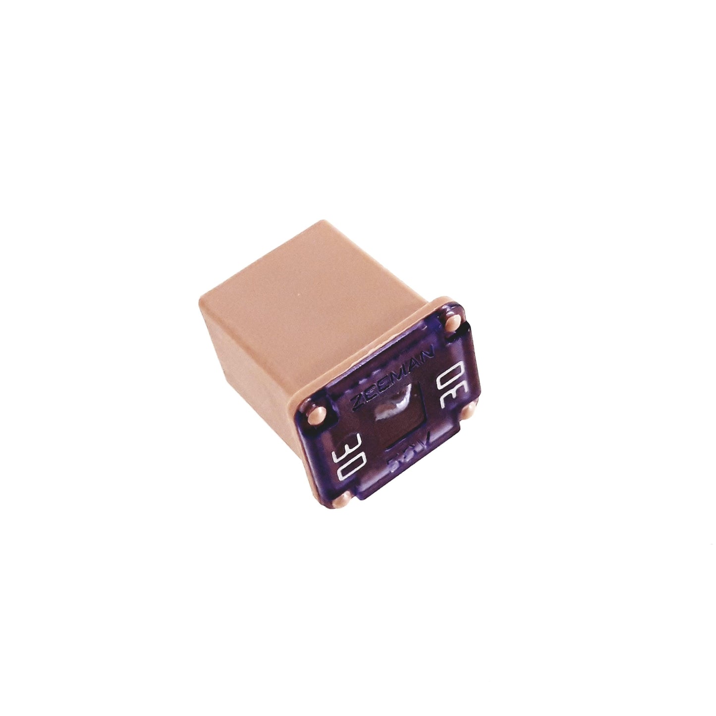 SLOW-FUSE 30A Segway Snarler AT6 L E5