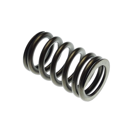 VALVE SPRING Segway AT5 S T3b