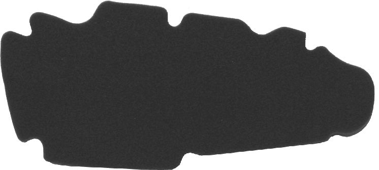 Air filter Peugeot Looxor 125,150 10 060 0930