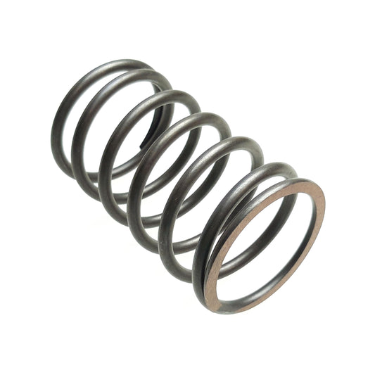 DRIVE PULLEY SPRING Segway Snarler AT6 L E5
