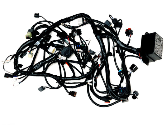 MAIN CABLE (WITH REAR DIFFERENTIAL) Segway Snarler AT6 L E5