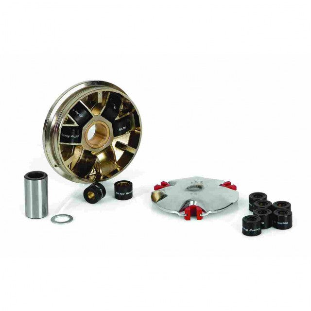 Variator SV1 Suzuki