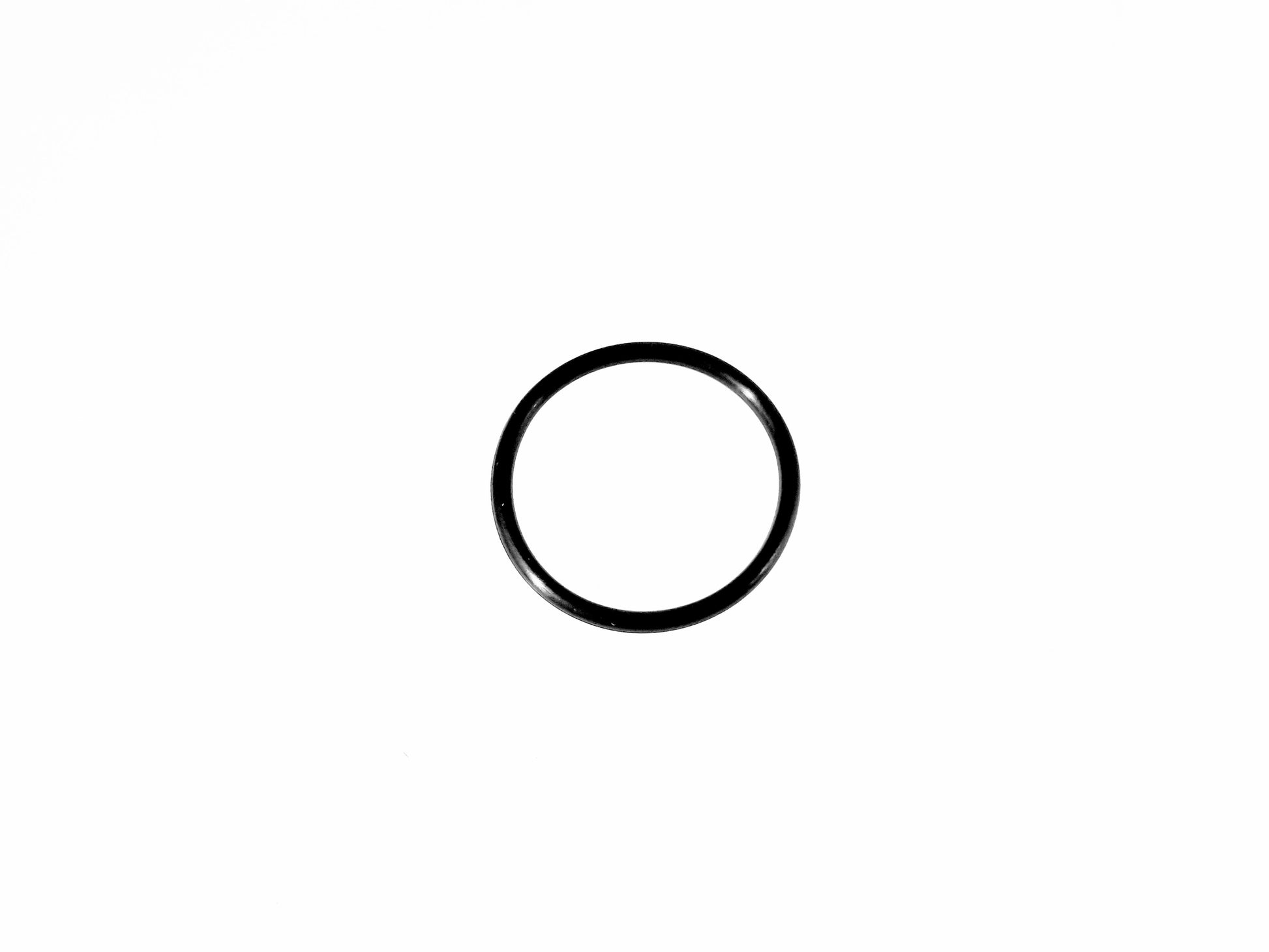 O-RING SEAL 31X2.5 Segway Fugleman UT10