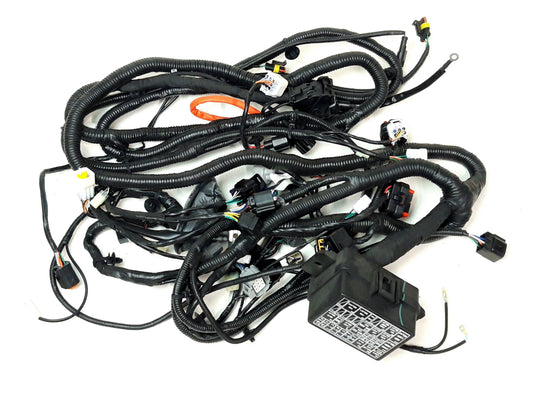 MAIN CABLE ASSY FOR LOF Segway Fugleman UT10