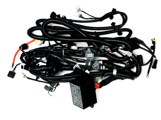 MAIN CABLE ASSY Segway Fugleman UT10