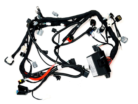 MAIN CABLE Segway AT5 S T3b