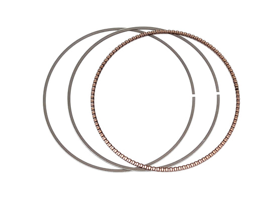 OIL RING Segway AT10WL ABS