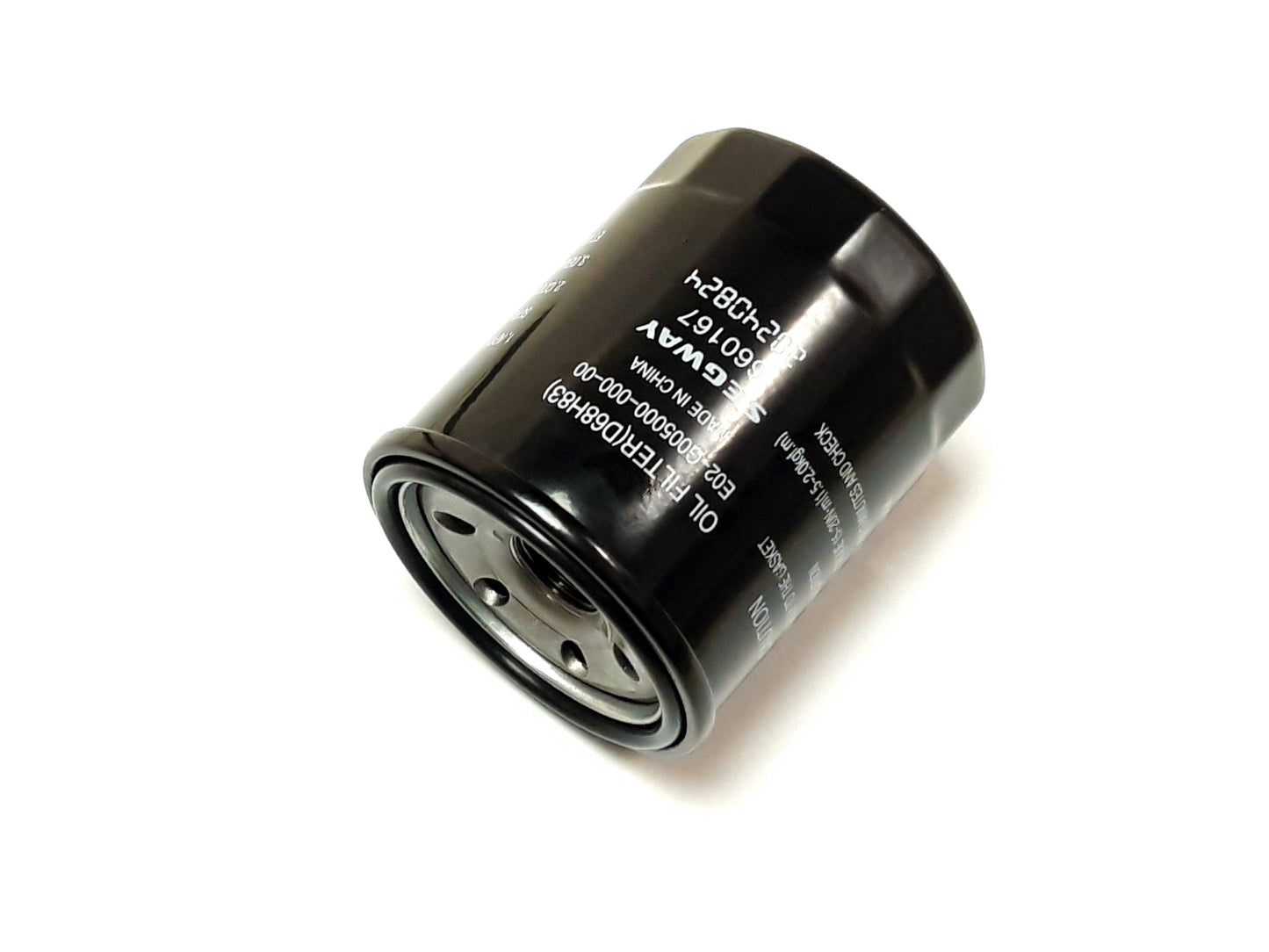 OIL FILTER Segway Fugleman UT10