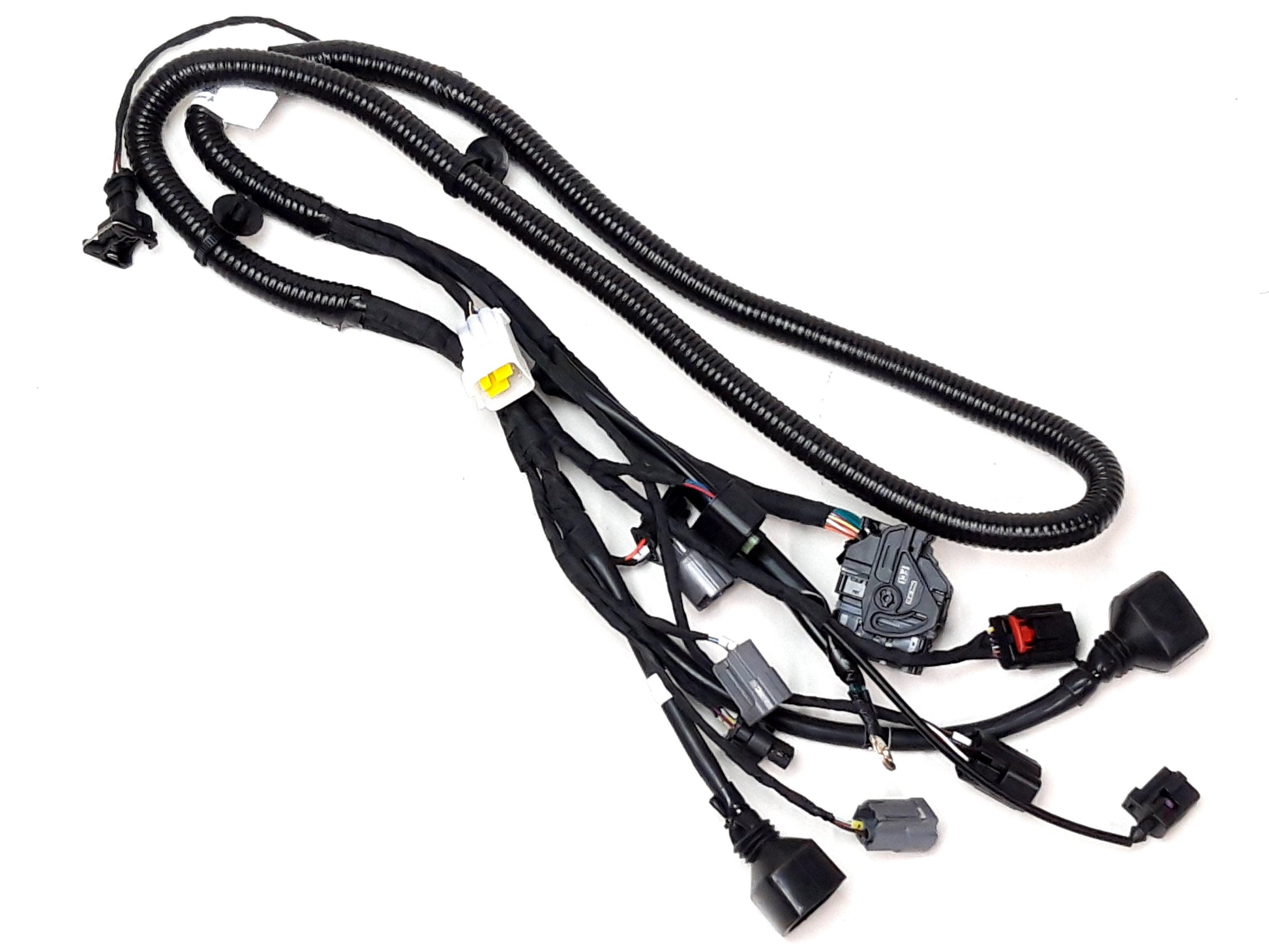 EFI HARNESS Segway Fugleman UT10