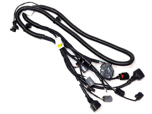EFI HARNESS Segway Fugleman UT10