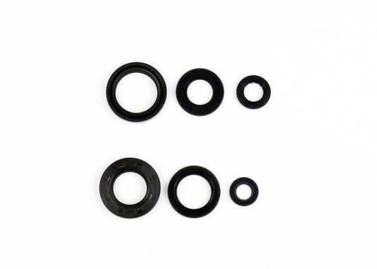 Engine Oil Seals Kit WR 200