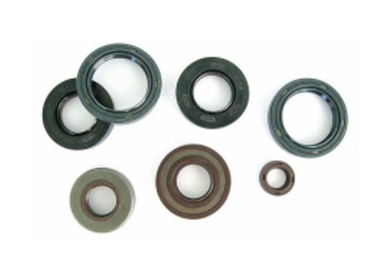 Engine Oil Seals Kit HONDA CB 250 94-07