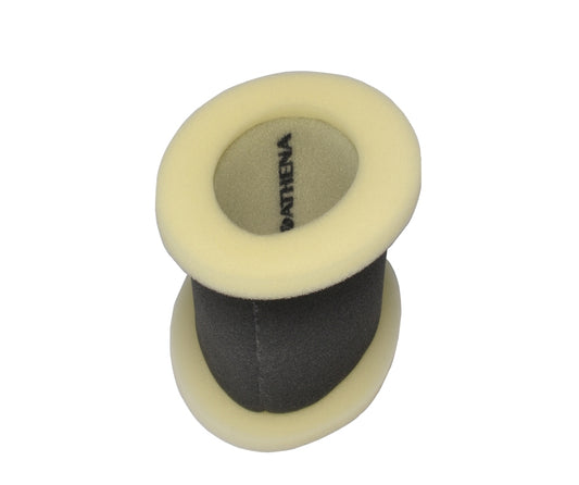 Air Filter POLARIS 350/300/250/400