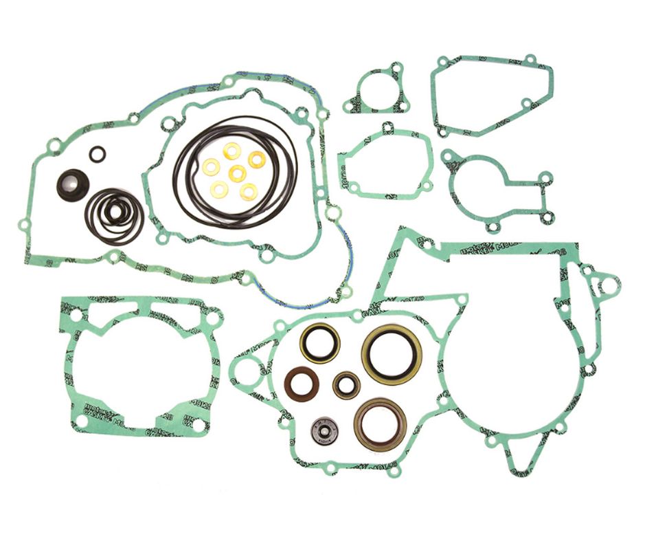 Gasket set BETA 250/300RR 13-24 (2T) ( with oil seals ) (replaces P400060900011) J0000BT000866