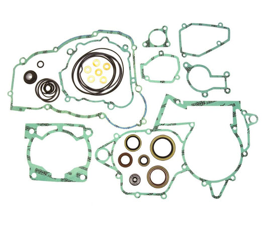 Gasket set BETA 250/300RR 13-24 (2T) ( with oil seals ) (replaces P400060900011) J0000BT000866