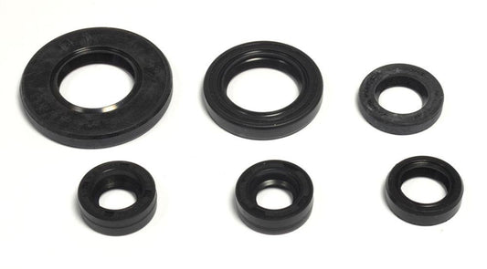 Engine Oil Seals Kit YAMAHA TTR 125 11-15, XT 125R/X 05-12, YBR 125 05-14