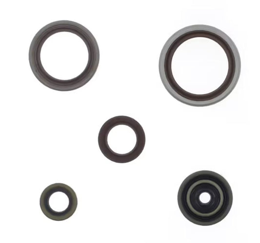 Engine Oil Seals Kit BETA RR 250 / 300 RR RACING 13-25 (replaces P400060400011)