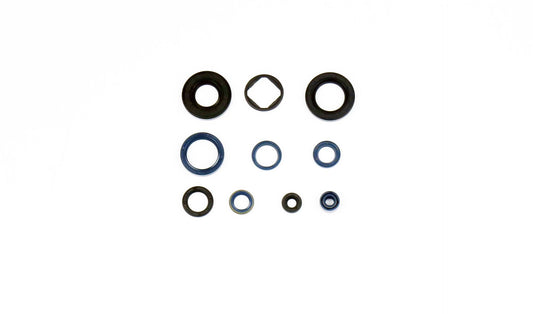 Engine Oil Seals Kit CAGIVA MITO125 91-08, W8 125 91-97, SUPER CITY 125 91-98