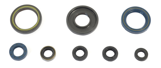 Engine Oil Seals Kit KTM GS 250 84-89