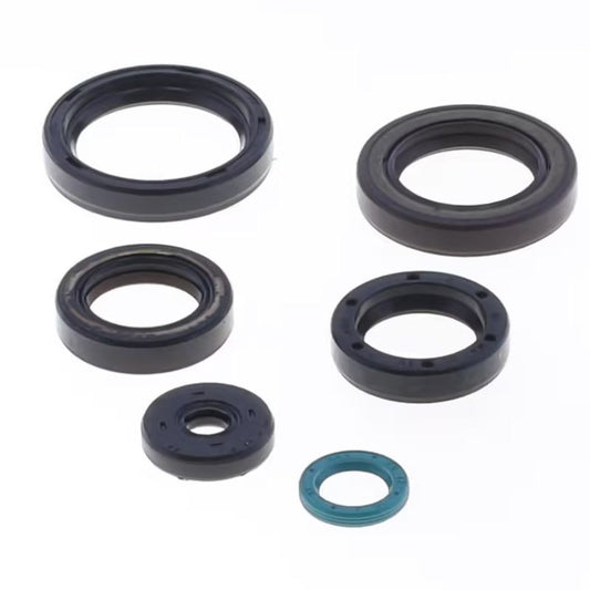 Engine Oil Seals Kit TM EN / MX 300 15-18, EN / MX 250 15-18
