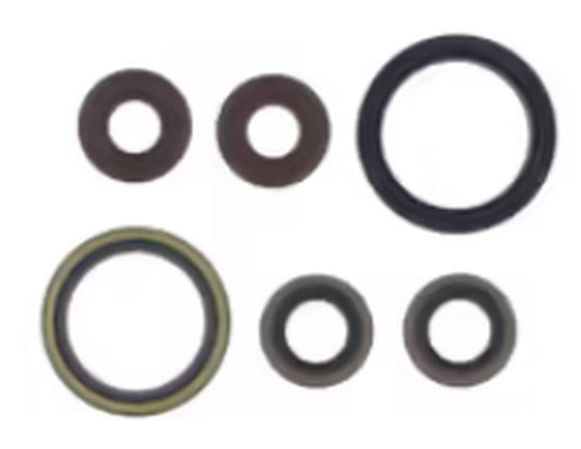 Engine Oil Seals Kit SHERCO SEF-R 450 15-21