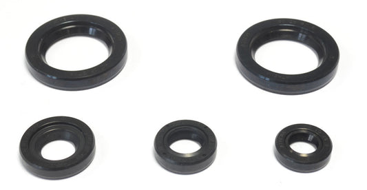 Engine Oil Seals Kit KTM RC 200 15-16, DUKE 200 12-16, DUKE 125 11-16