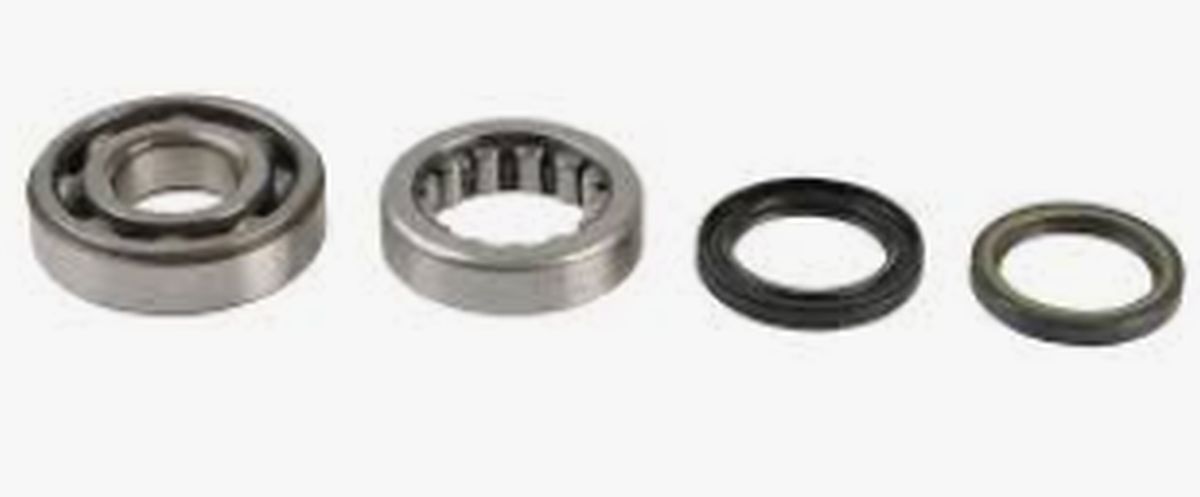 Shaft bearing SX06D11X1CS244 NTN HONDA CRF 450 R/RX 17-18
