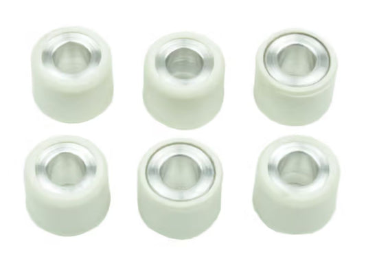 variator roller weights 6 pcs. 15X12 MM 5 GR. YAMAHA YW 50, YQ 50, YN 50, YH 50, JOG 50, CW 50, CT 50, CS 50, BWS 50, PIAGGIO GRILLO 50, CIAO 50, BROVO 50, APRILIA SR 50, SONIC 50, SCARABEO 50, GULLIVER 50, AMICO 50