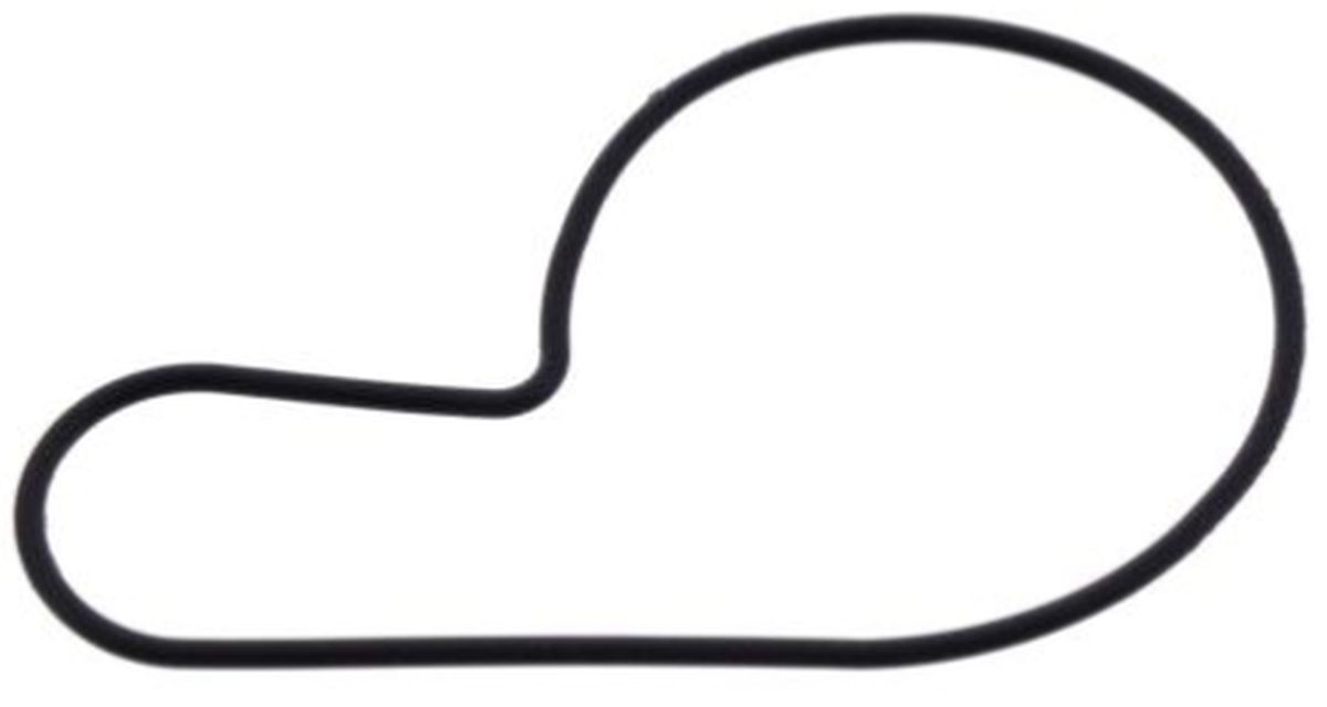 Water Pump Housing Gasket SUZUKI DR-Z 400 00-08, LT-Z 400 QUADSPORT 04