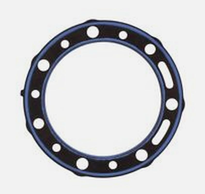 Cylinder head gasket BETA EVO 290 09-11 (OEM:1667214000)