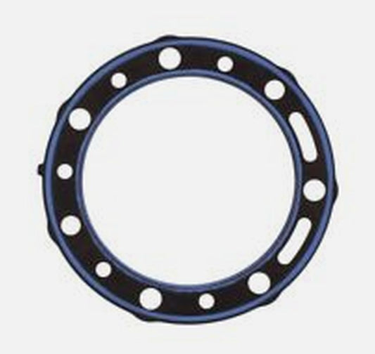 Cylinder head gasket BETA EVO 290 09-11 (OEM:1667214000)