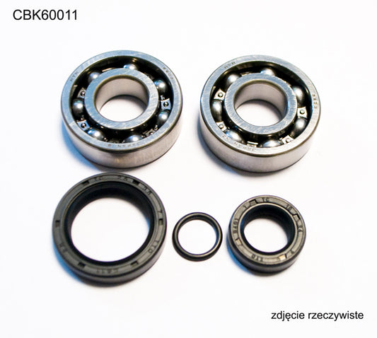 CRANKSHAFT BEARINGS KTM SX 50 10-12, SX50 MINI 09-15 (NTN) (MADE IN JAPAN) (24-1099)