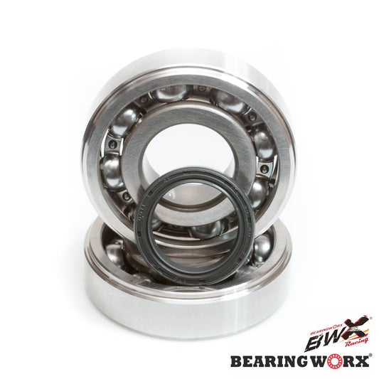 CRANKSHAFT BEARINGS WITH SEALS KAWASAKI KX 125 88-07 (NTN) (MADE IN JAPAN) (24-1008)