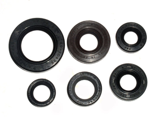 COMPLETE ENGINE SEAL KIT HONDA TRX 300EX '93-'08