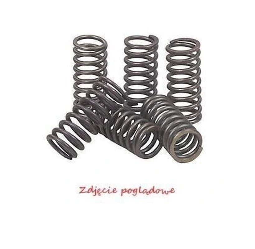 CLUTCH SPRINGS YAMAHA XT 250 '08-'17, YZ 250 '88-'99, WR 250 '94-'97 (EBS081)