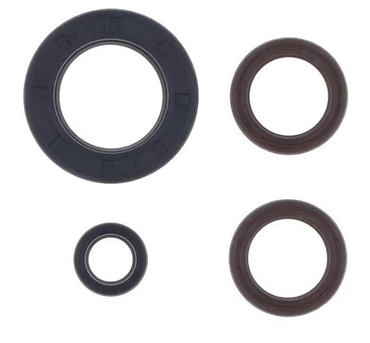 ENGINE SEAL KIT KTM GS 250 80-81, MX 250 80-81