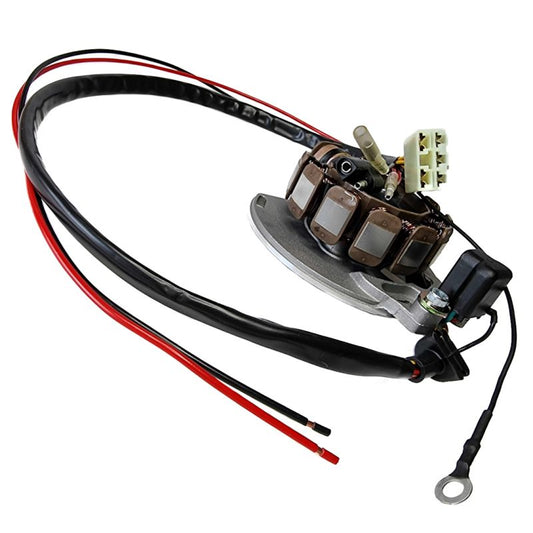 STATOR WINDING + VOLTAGE REGULATOR GAS GAS EC300 00-04, EC250 00-04, KTM/GAS GAS 200 00-04, 125 03-04